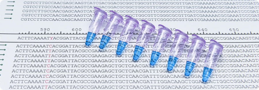  PCR-tubes 