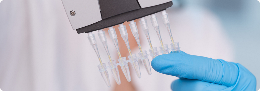  Multichannel Pipette 